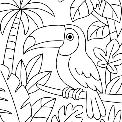A Toucan In Tropical Trees