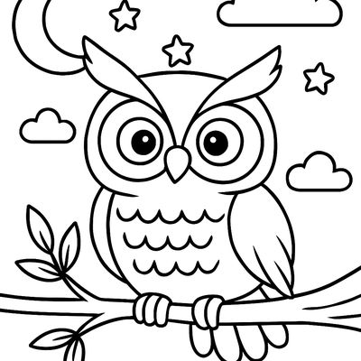 An Owl Sitting On A Branch At Night