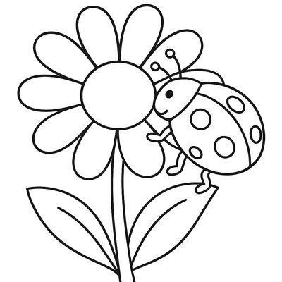 A Ladybug Crawling On A Daisy Petal