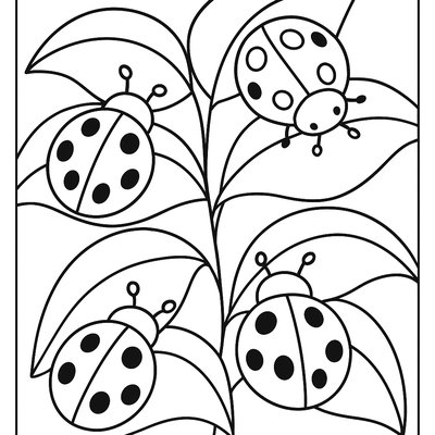 Ladybugs Crawling On Fresh Green Leaves