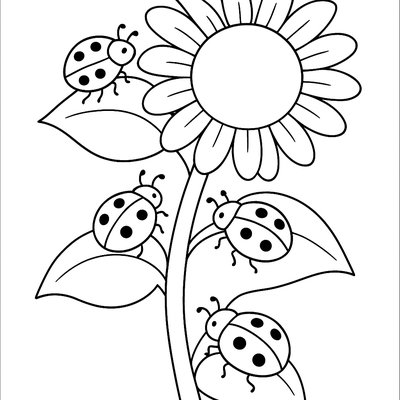 Ladybugs Gathering On A Sunflower Stem
