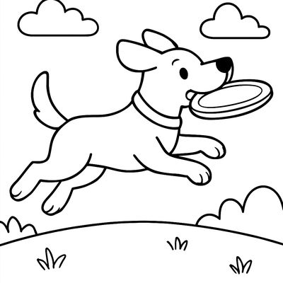 A Dog Catching A Frisbee