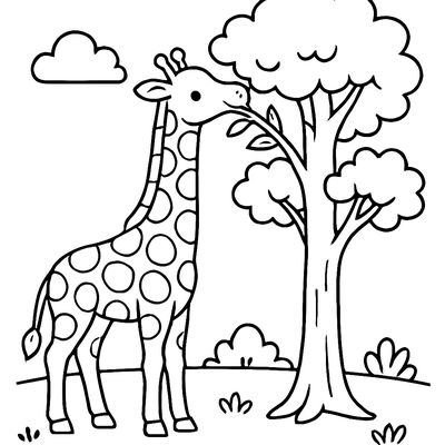 A Giraffe Eating From A Tall Tree