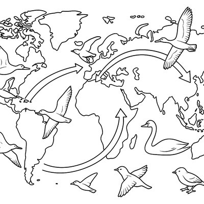 World Map Showing Different Spring Seasons Globally