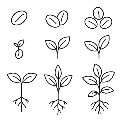 Number Sequence 1-10 With Corresponding Spring Seeds To Count
