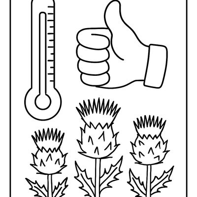 The TH Sound With A Thermometer, Thumb, And Three Thistles