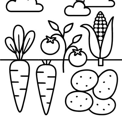 A Garden Scene Showing Vegetables Growing Underground And Above Ground: Carrots, Potatoes, Tomatoes, Corn