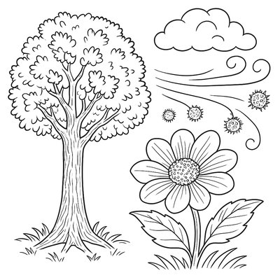 Wind Pollination Diagram With Tree Pollen