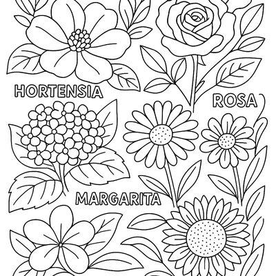 Spanish Flower Names Labeled On Different Blooms In Garden