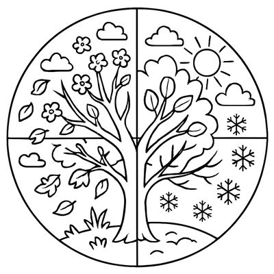 The Four Seasons Shown In A Circle With A Tree Changing Through Spring Summer Fall Winter