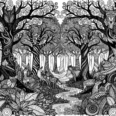 An Enchanted Forest
