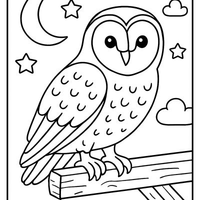 A Barn Owl Perched On A Wooden Beam At Night