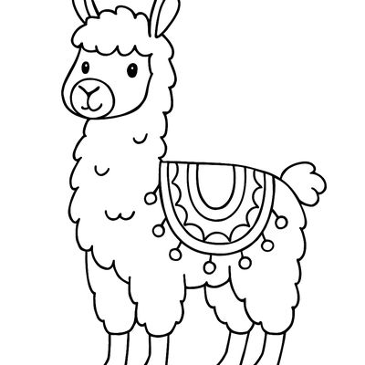 A Llama With A Colorful Blanket On Its Back