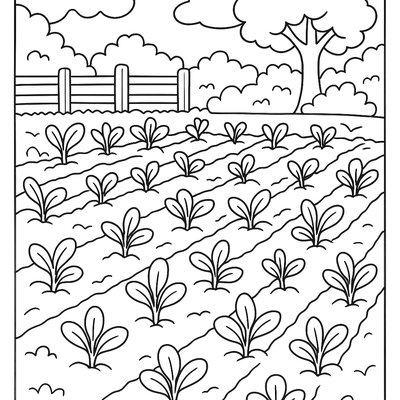 A Vegetable Garden With Rows Of Sprouting Plants