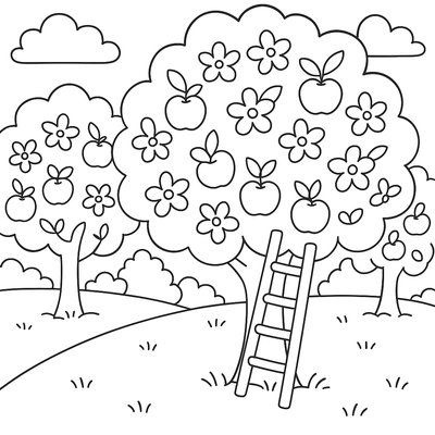 Apple Orchard In Full Bloom With Ladder And Basket