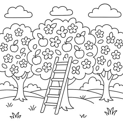 Apple Orchard In Spring Bloom With Ladder
