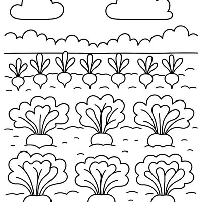 Vegetable Garden With Rows Of Lettuce And Radishes