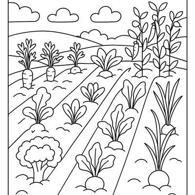 Vegetables Sprouting In Neat Garden Rows