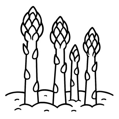 Asparagus Spears Growing In A Garden Row