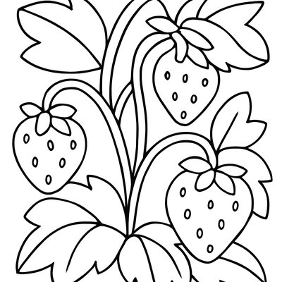 Fresh Strawberries Growing On Plants With Leaves