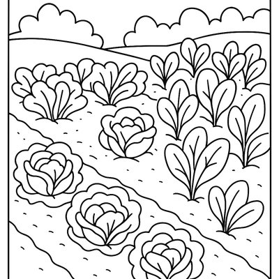 Lettuce And Spinach Growing In Neat Garden Rows