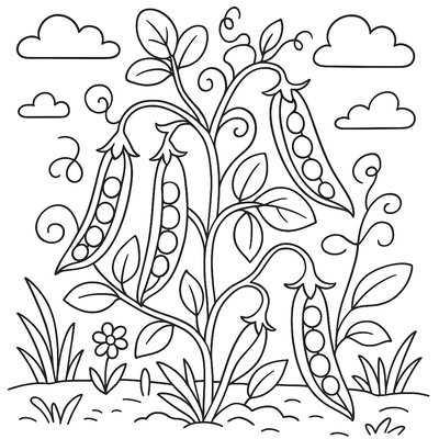 Peas Growing On Vines In Spring Garden