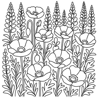 A Field Of Poppies And Lupines In Full Bloom