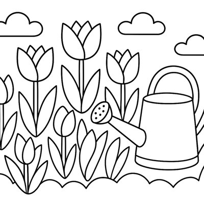 A Tulip Garden With Blooming Bulbs And A Watering Can