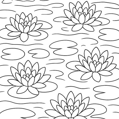Lily Pads With Flowers Blooming On A Pond