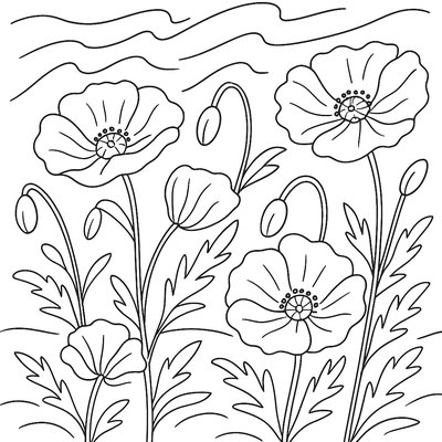 Poppies Swaying In A Spring Breeze