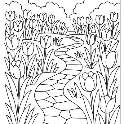 Tulip Garden With Different Colored Blooms
