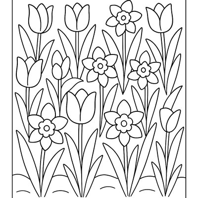Tulips And Daffodils Blooming In A Garden Bed