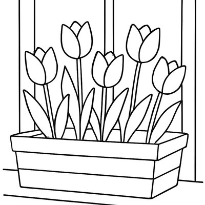 Tulips In A Wooden Planter Box On A Windowsill