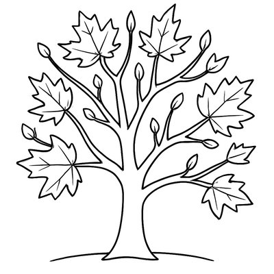 A Maple Tree With New Spring Leaves And Helicopter Seeds