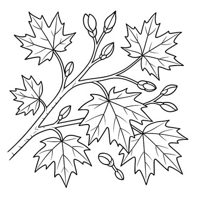 Maple Tree With Fresh Green Spring Buds