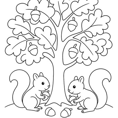 Oak Tree With Acorns And Squirrels Gathering Food
