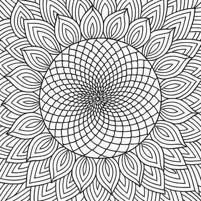 Geometric Pattern Made From Different Types Of Flower Petals