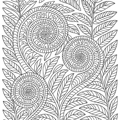 Spiral Pattern Of Unfurling Fern Fronds