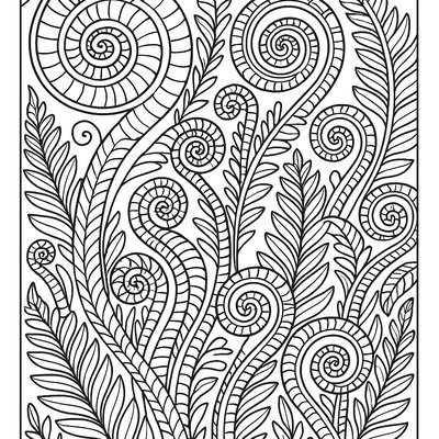 Spiral Patterns Found In Fern Fronds Unfurling