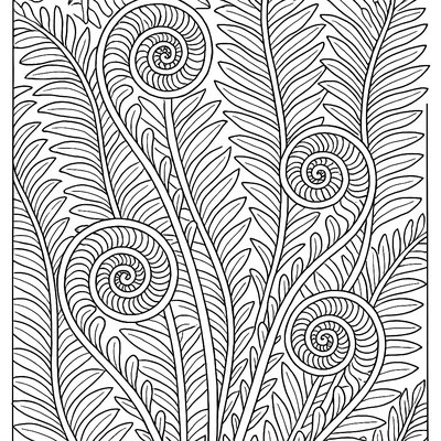 Spiral Patterns Found In Unfurling Fern Fronds