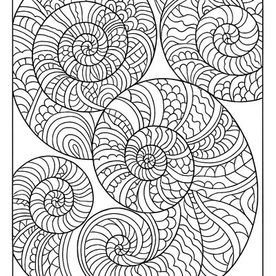Spiral Shell Patterns Showing Mathematical Fibonacci Sequences