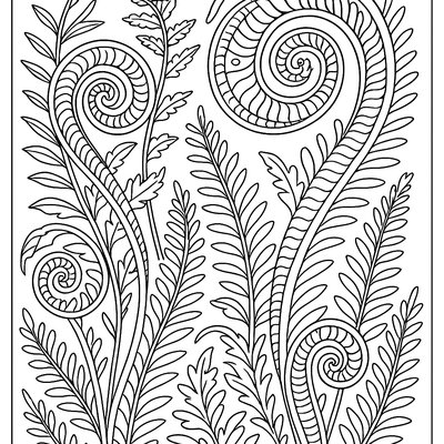 Spiraling Fern Fronds Unfurling In Spring