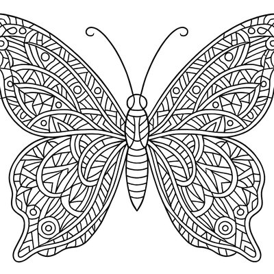 Intricate Butterfly Wing Patterns With Geometric Designs