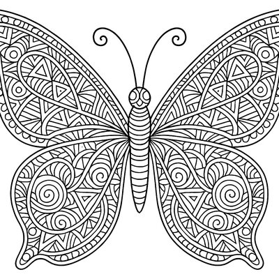 Intricate Butterfly Wing Patterns With Geometric Details