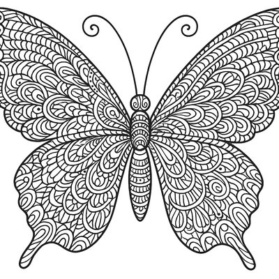 Intricate Zentangle Butterfly With Detailed Wing Patterns