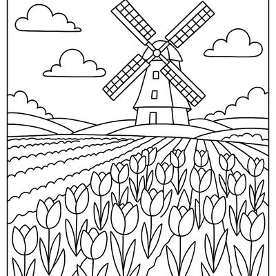 Dutch Tulip Fields In Full Spring Bloom With Windmill