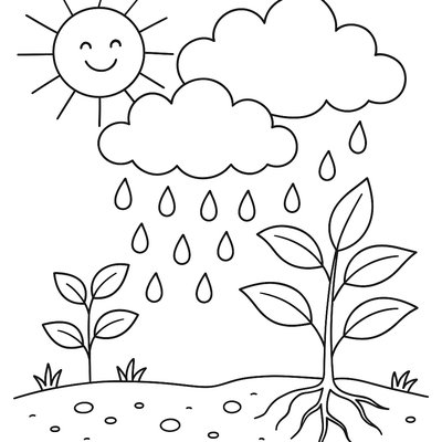 Diagram Showing How Spring Rain Forms And Nourishes Plants