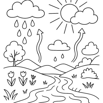 The Water Cycle With Spring Rain And Evaporation