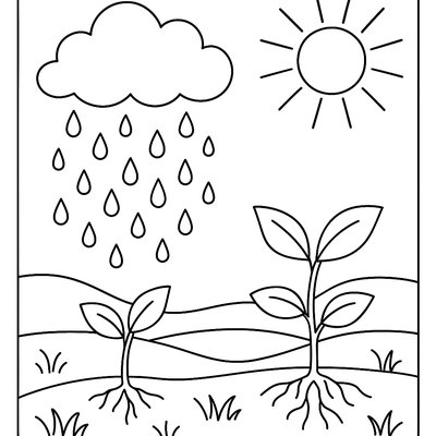 Water Cycle Diagram With Spring Rain And Growing Plants
