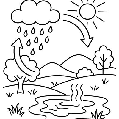 Water Cycle Showing Evaporation From Spring Lakes And Rain Formation
